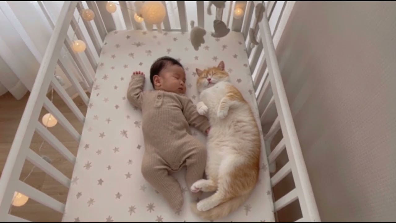 同じ夢を見ているみたいな、お昼寝の時間