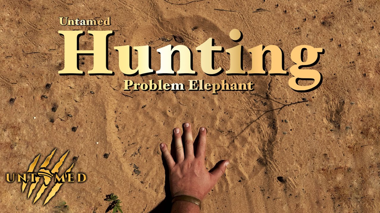'Hunting Problem Elephant in Zimbabwe' with Bruce Cronje / Untamed Knife Company - Full Movie