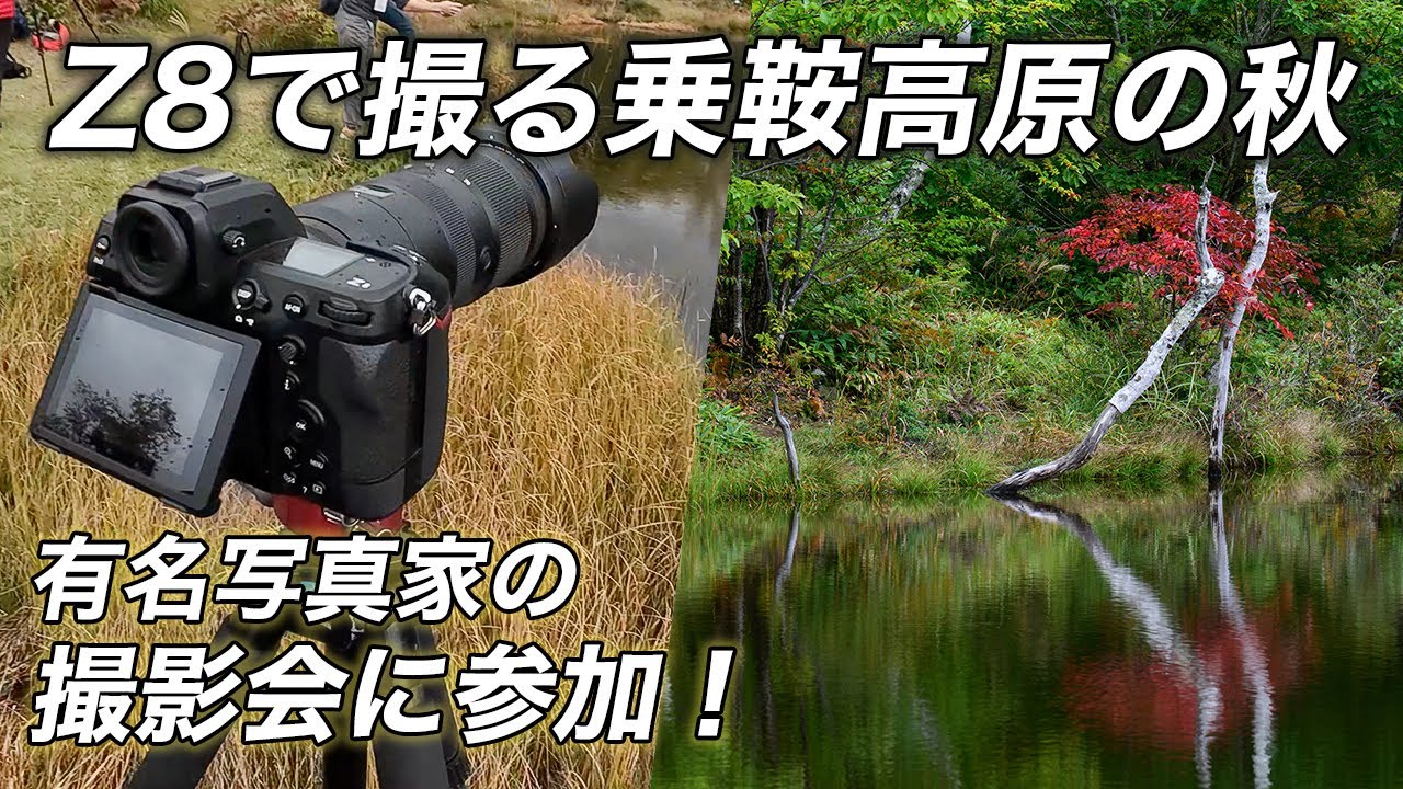【自然写真】Nikon Z8で撮る錦秋の乗鞍｜有名写真家さんの撮影会に参加させてもらいました！
