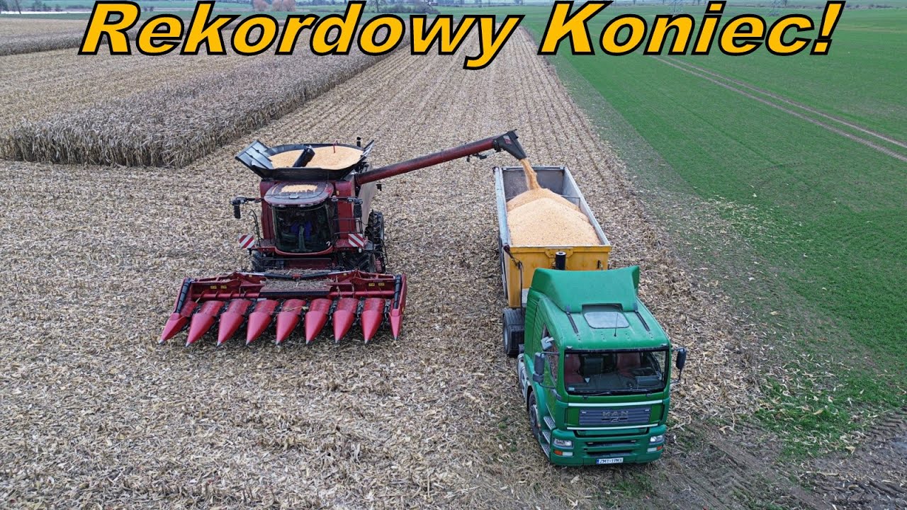 Kończymy Żniwa Kukurydzy 2025 Z Miłym Zaskoczeniem!