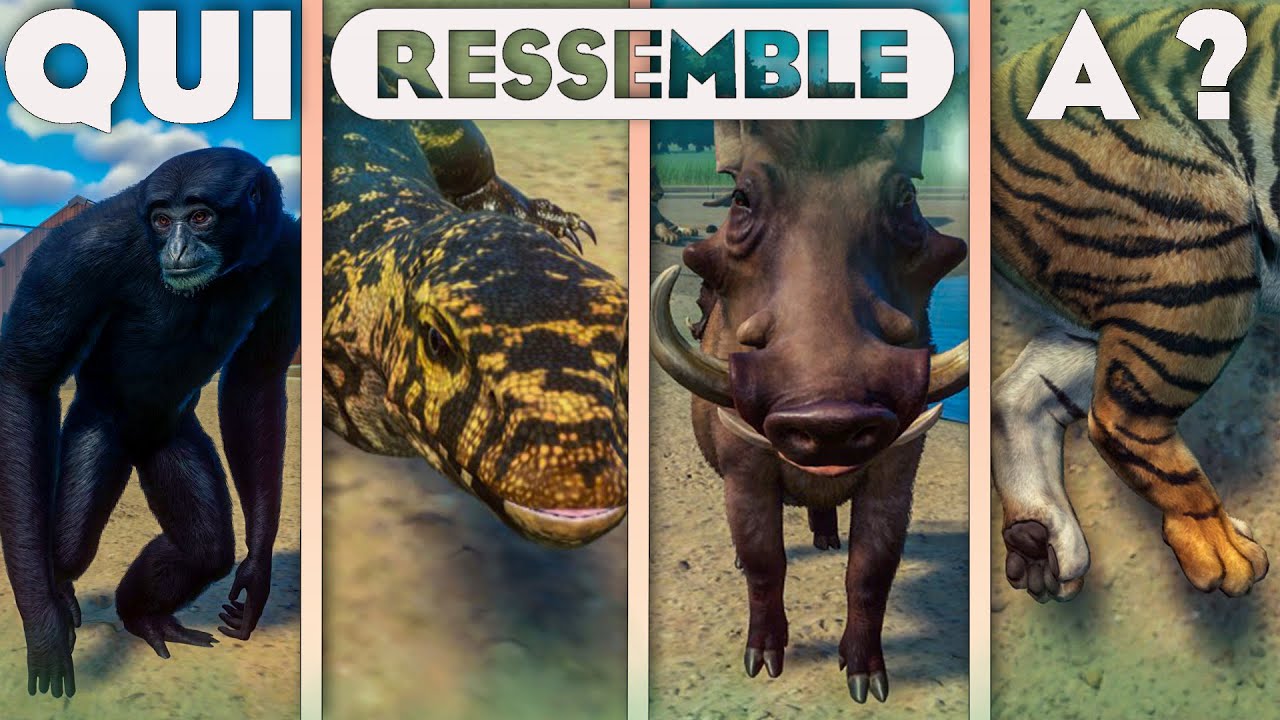QUELS ANIMAUX RESSEMBLENT A CEUX DU PROCHAIN DLC ? | PLANET ZOO TROPICAL PACK