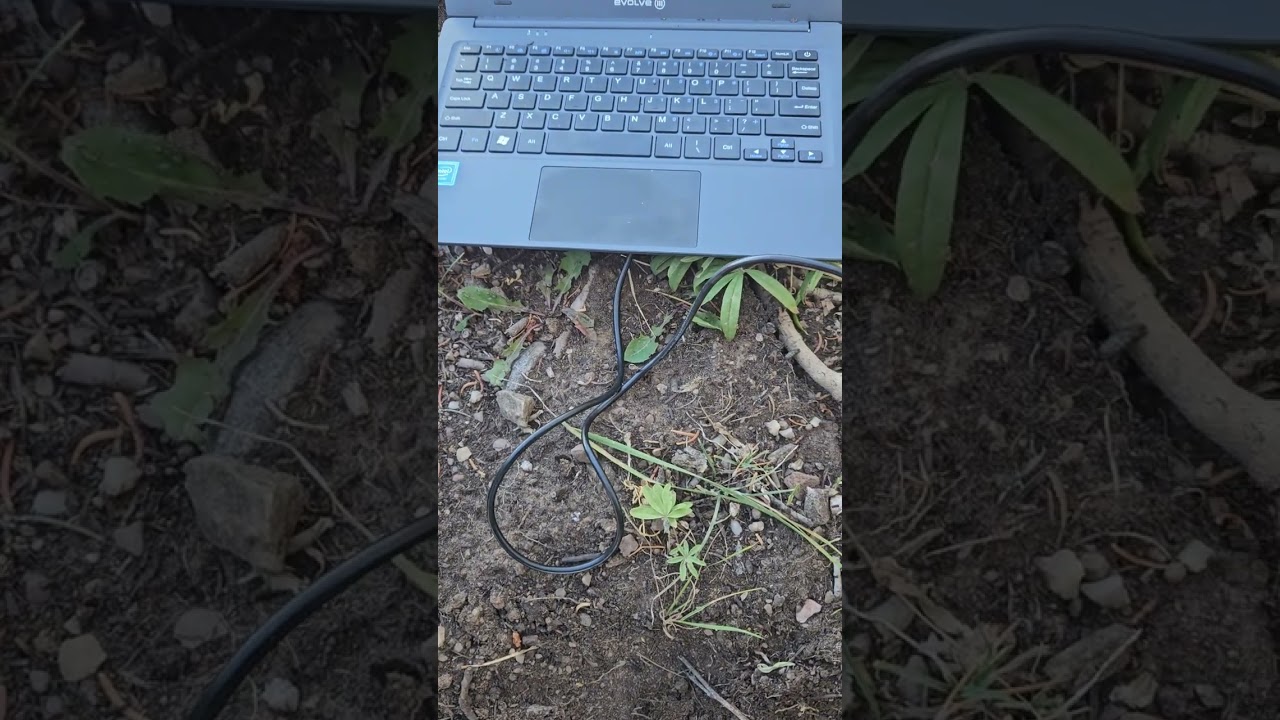QRP Guys EFHW Antenna and NVIS Comms Shot