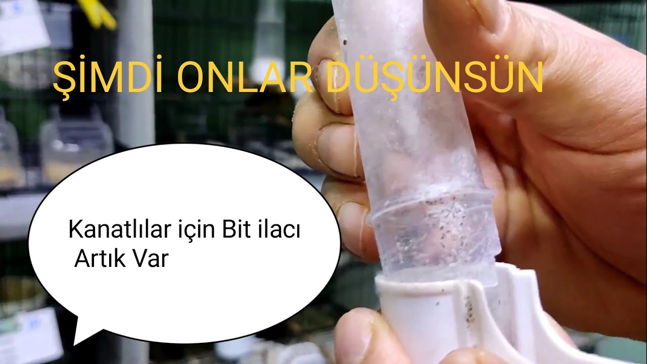 En sonunda Kanatlılar için bit ilacı üretildi. Bit bitti Kesin çözüm