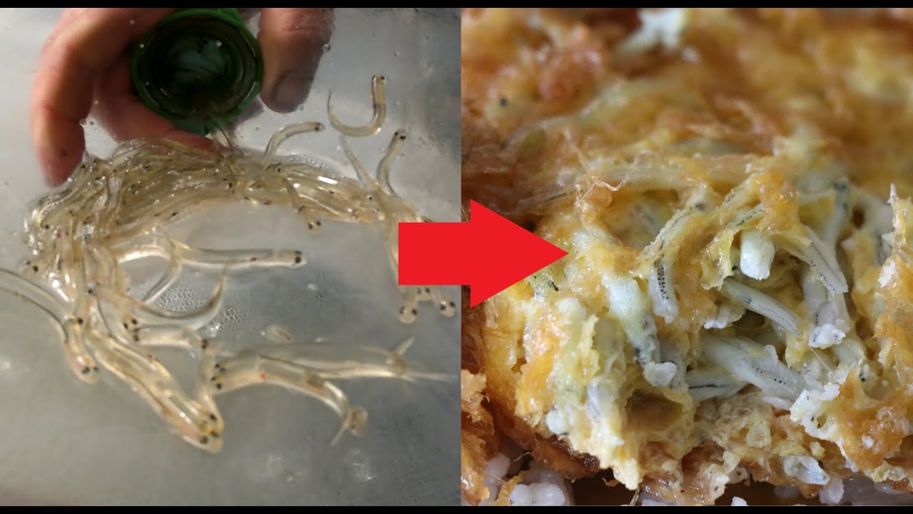 NZ Whitebait catch and cook Thai style [Bangkokhooker]