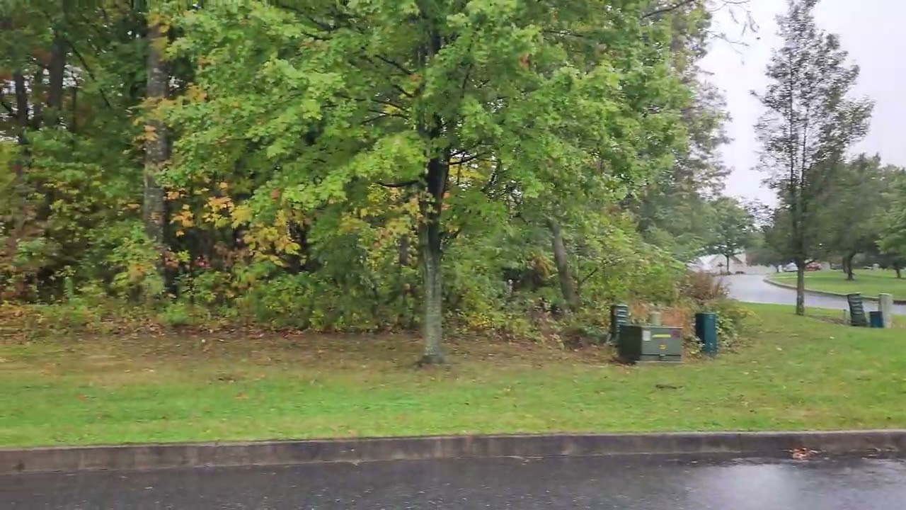 🏡 1 Acre Of Vacant Wooded Land For Sale In Walnutport, Pa In The Lehigh Valley!