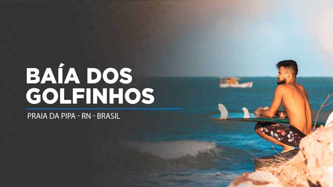 BAÍA DOS GOLFINHOS, o SANTUÁRIO NATURAL da Praia da Pipa, RN - 
