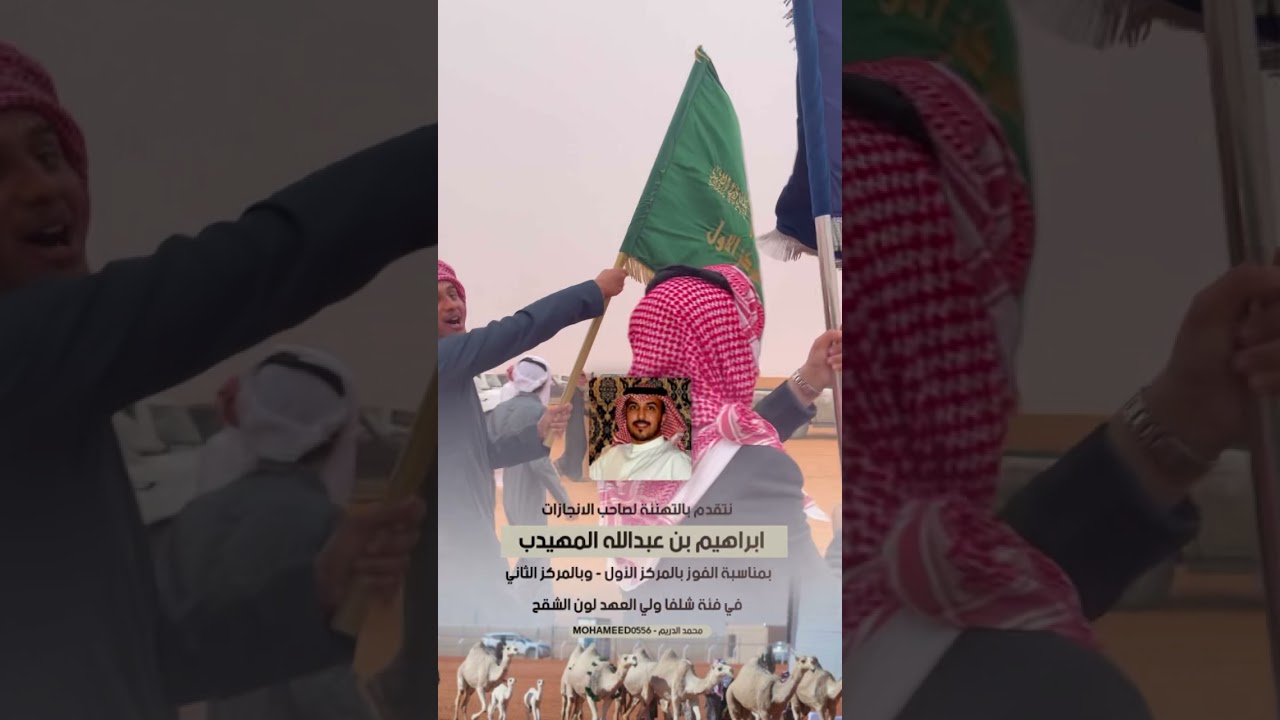 مسيرة فوز الشامخات لصاحب الانجازات ابراهيم بن عبدالله المهيدب في شلفا ولي العهد