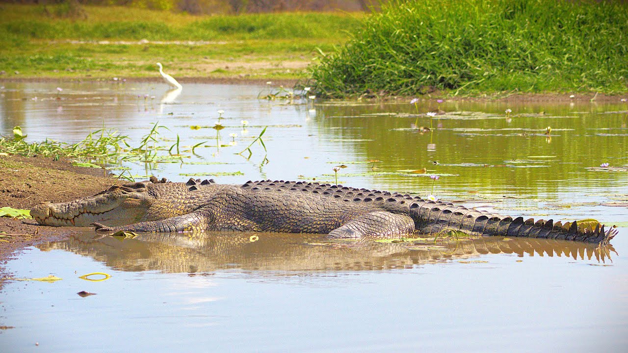 GN TOUR 2024  MARY RIVER NT