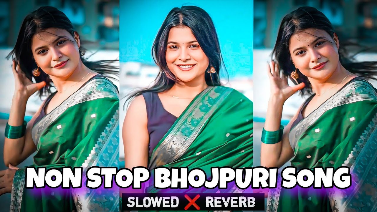 Non stop bhojpuri slowed reverb Song | Non stop bhojpuri song | Bhojpuri song mashup | New LOFI SONG