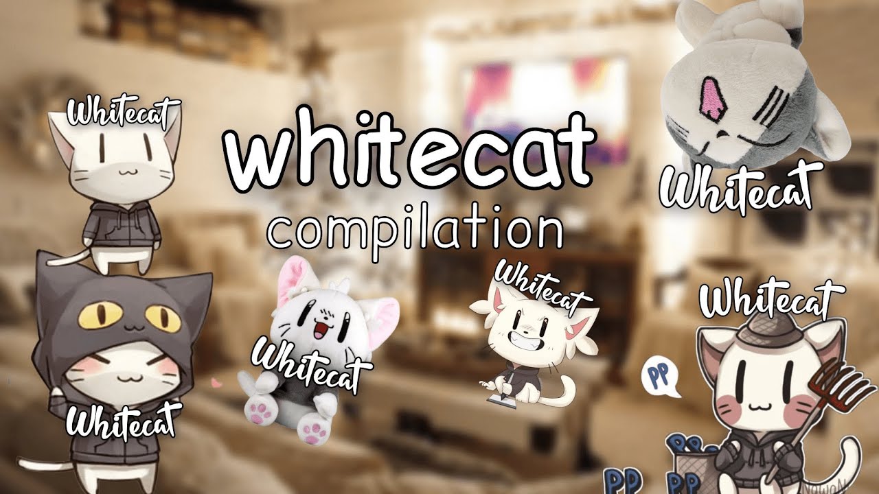 Nekosu WhiteCat Clan Compilation!