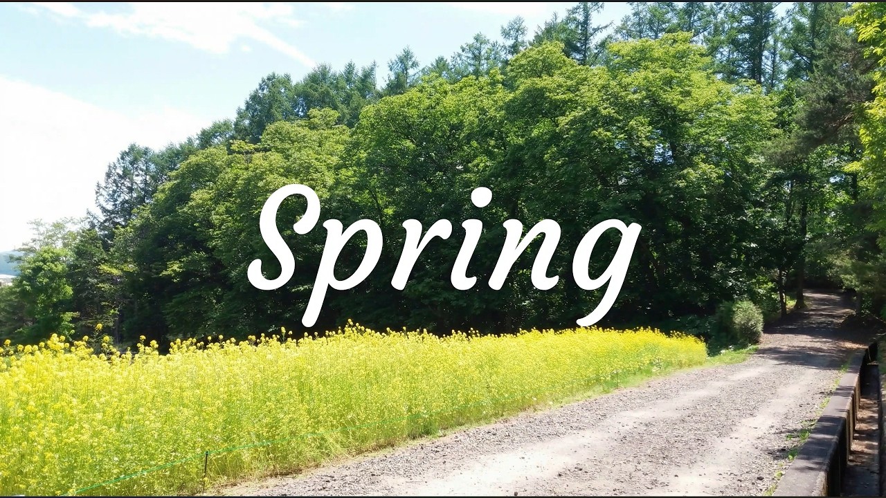 𝐏𝐥𝐚𝐲𝐥𝐢𝐬𝐭 | 🌿 기분 좋은 하루의 시작, 봄이 오는 소리