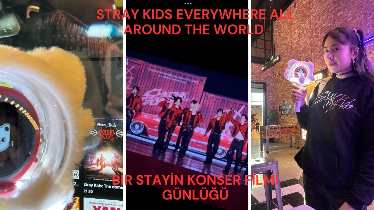 STRAY KIDS KONSER FİLMİ VLOG-SONUNDA