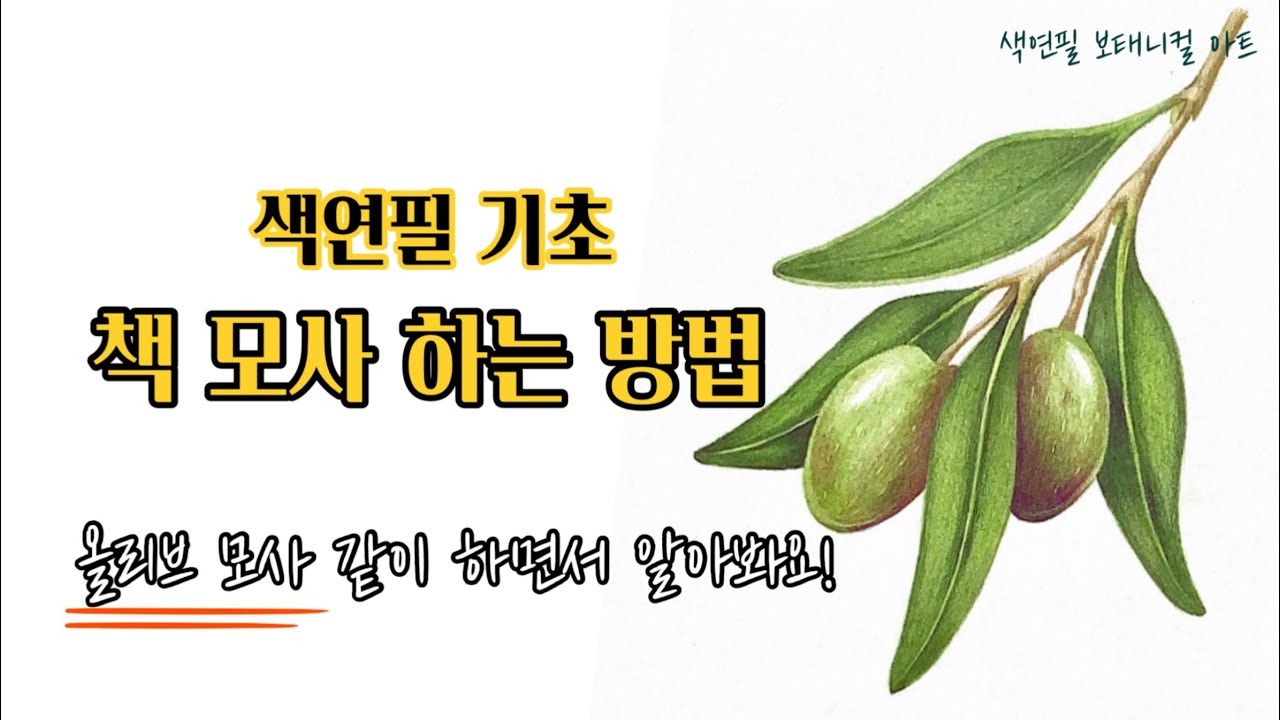 색연필기초/책 모사하는 방법/올리브 같이 그려요!/색연필 보태니컬아트 기초/colored pencils botanical art