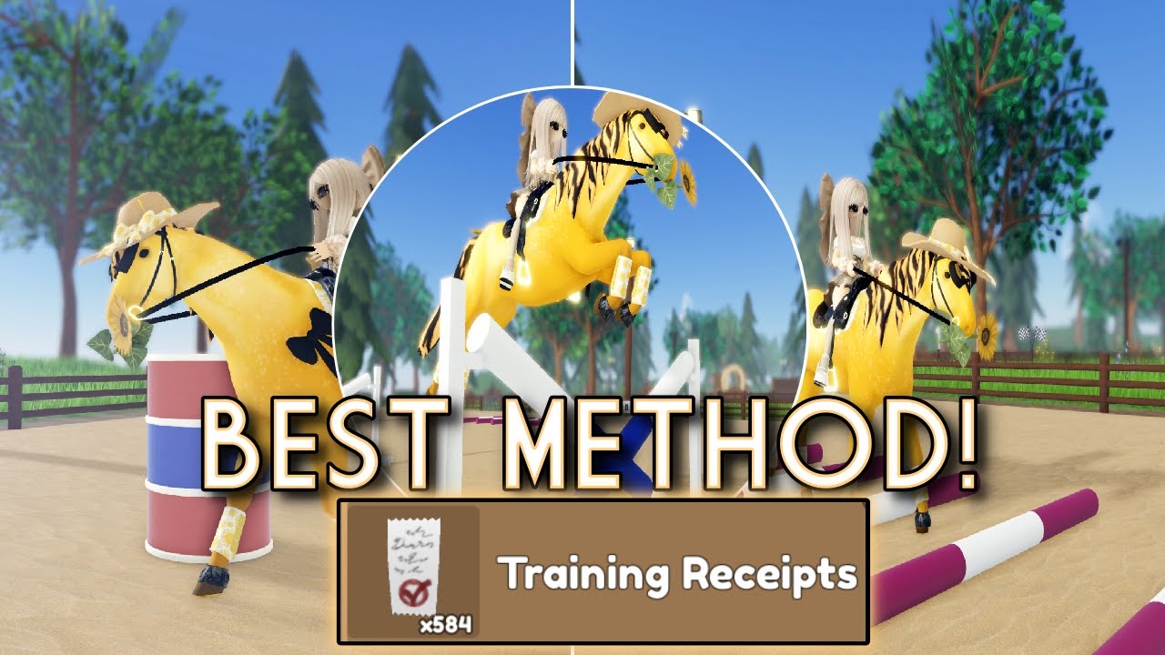 Best TRAINING RECEIPTS method || Wild horse islands
