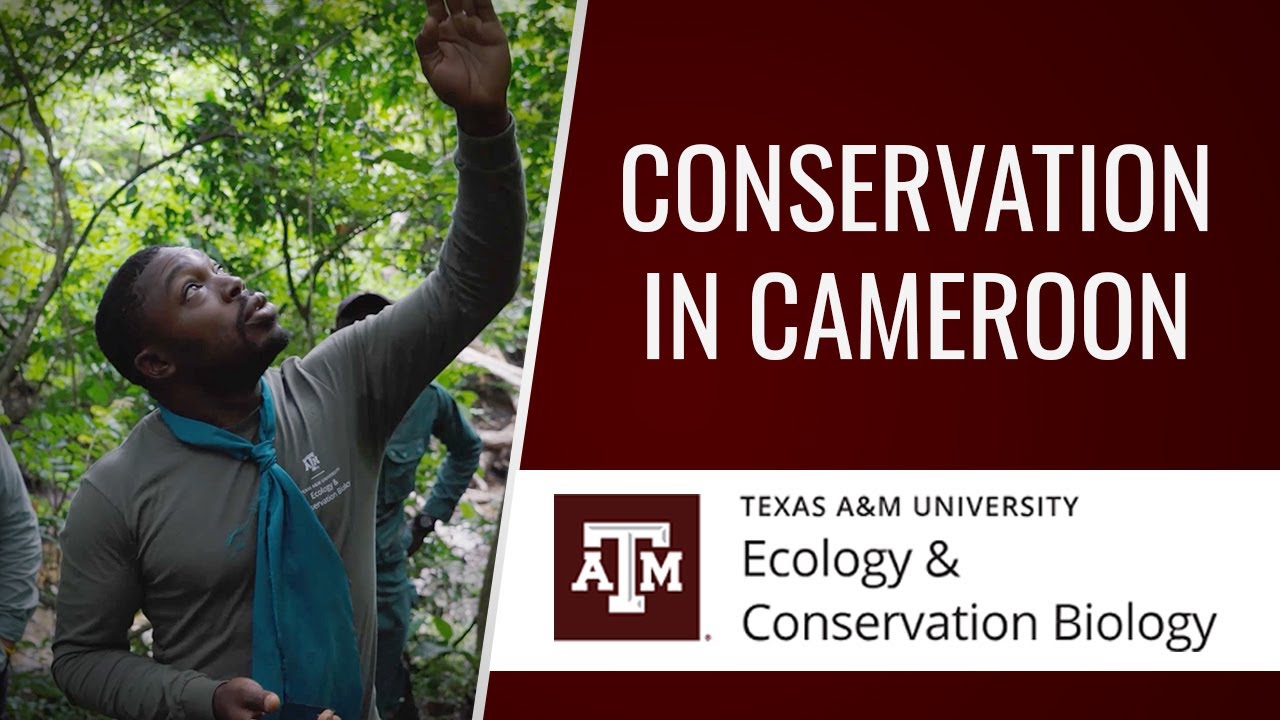 Ecology and Conservation Biology in Africa