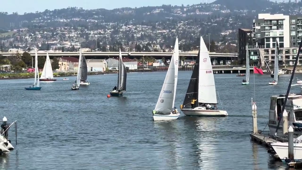 OYC 2-1-26 Brunch Race - Fleet C start (Santana 525)