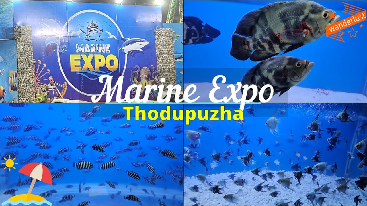 Exploring the Marine Expo in Thodupuzha | A Fascinating Journey into the Oceanic World! | 4K