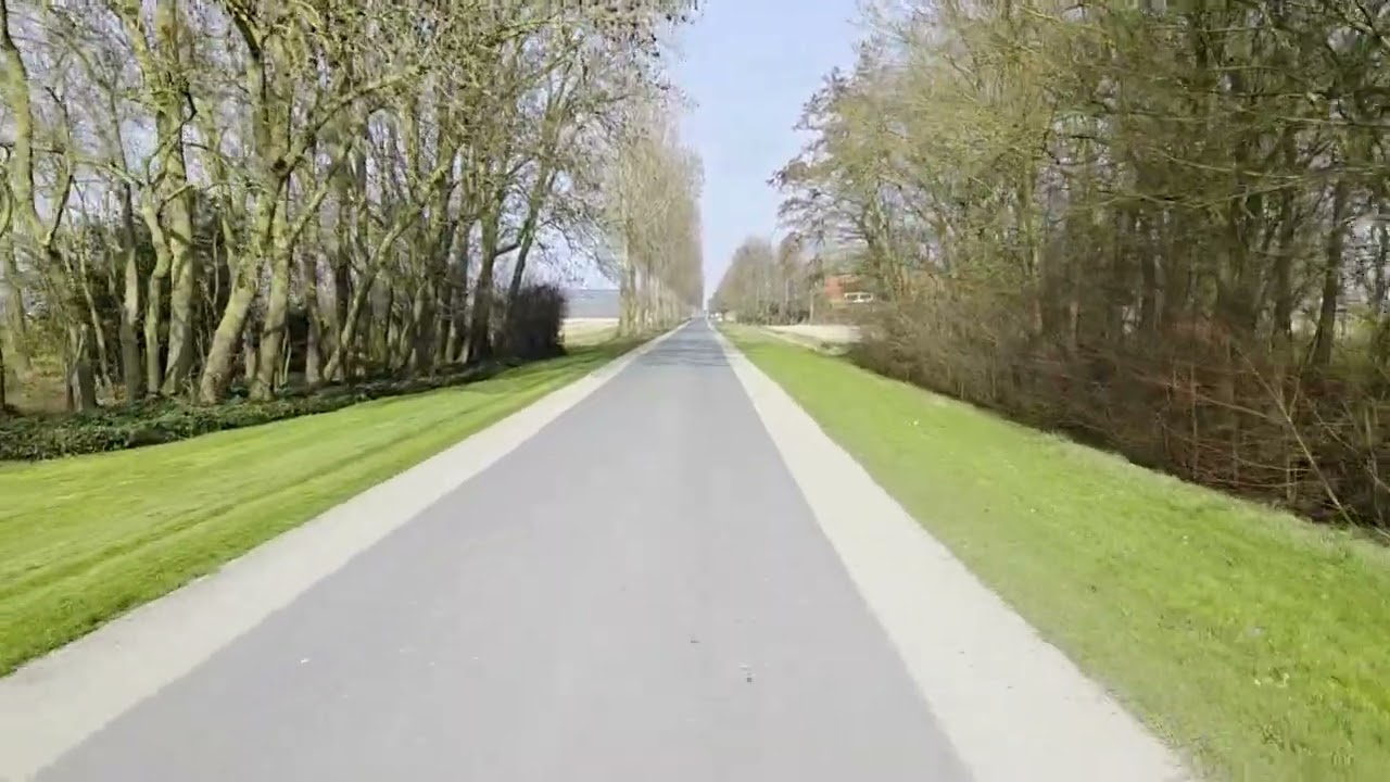 Wegen van het verzet: Professor Brandsmaweg (8 maart 2026)