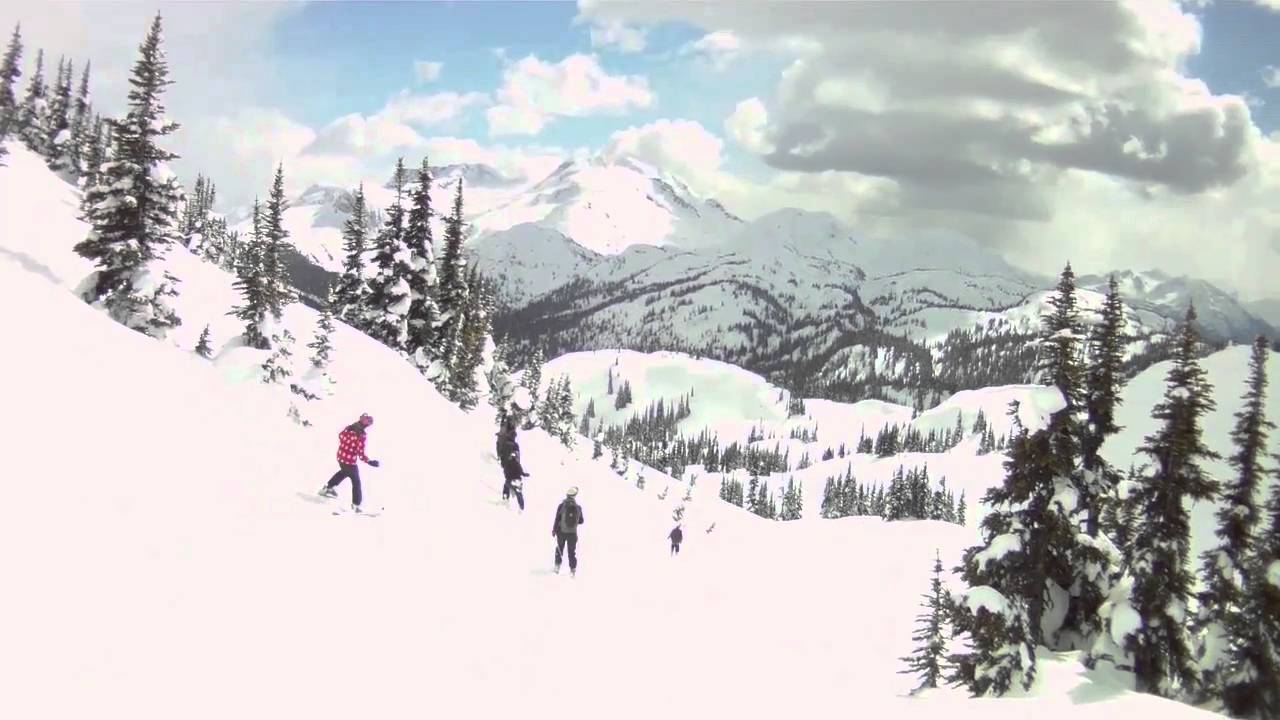 Backcountry Snowcats