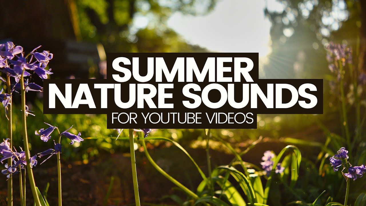 Nature Sound Effects For YouTube Videos (No copyright Royalty-free audio)