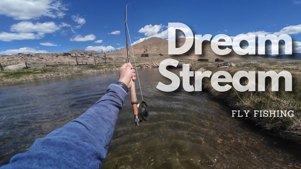 Fly Fishing Adventure at Colorado's Dream Stream | June 2024 Conditions & Epic Catches