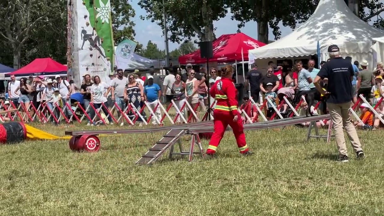 Rettungshunde Vorführung beim Donauinselfest 2024
