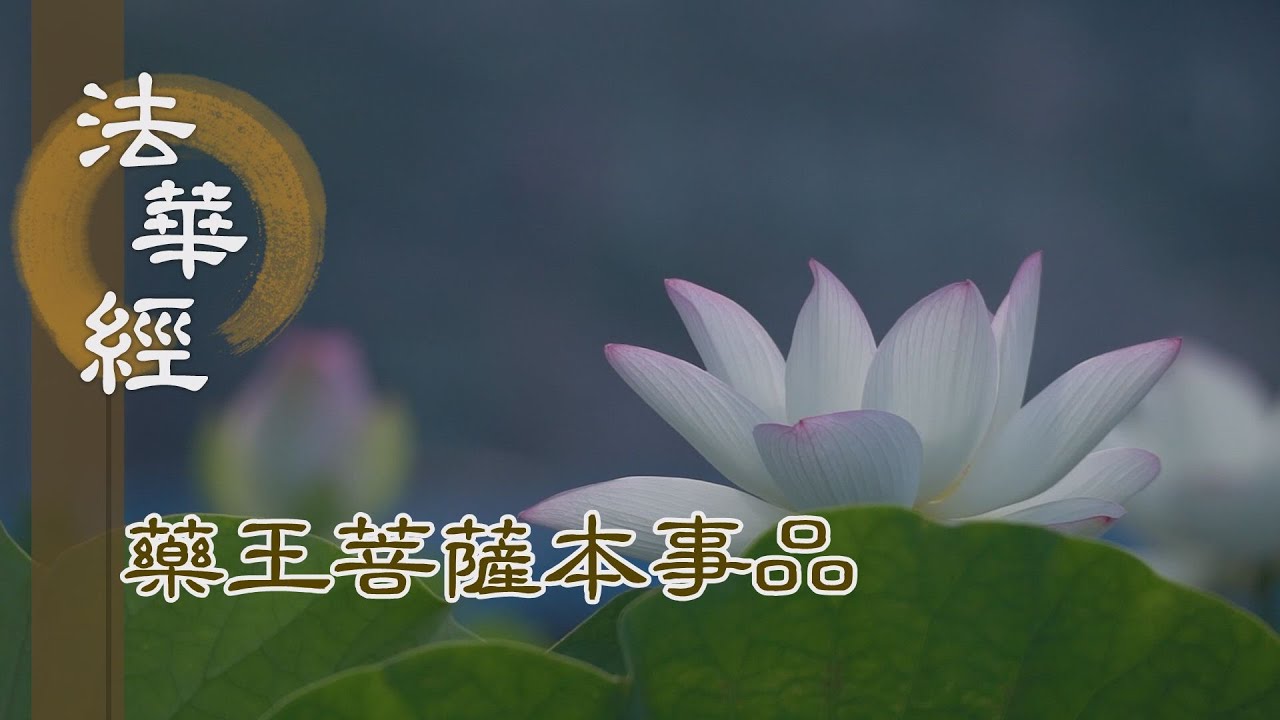 【靜思妙蓮華】 《法華經 藥王菩薩本事品》 - 以誠表敬 廣修供養 - 第1841集 20250101