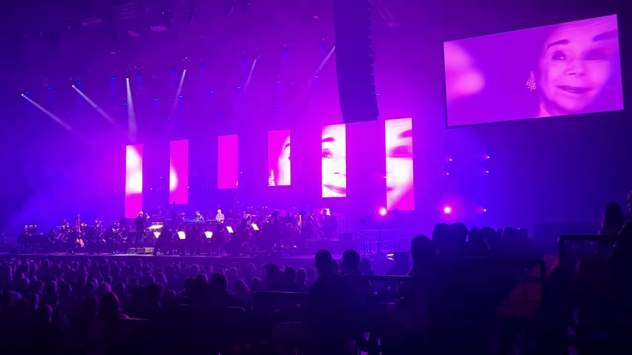 The Avalanches with Adelaide Symphony Orchestra 18/5/2022