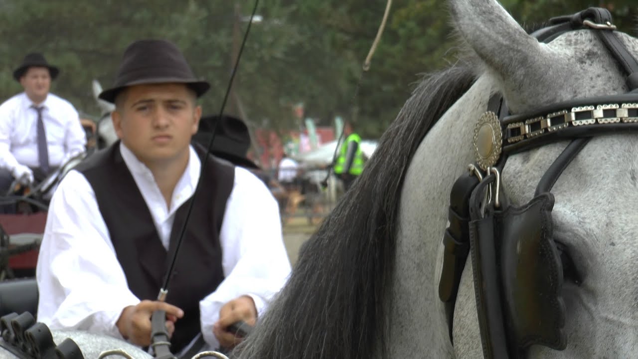 Mladi sve više neguju tradiciju konjarstva