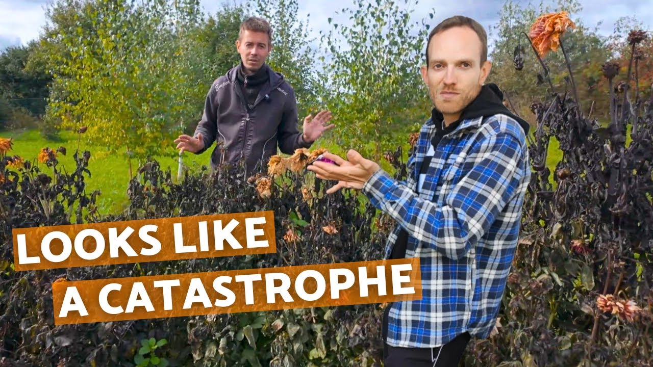 Frozen garden disaster (but not all is lost?) | Life on a small farm in Central Europe