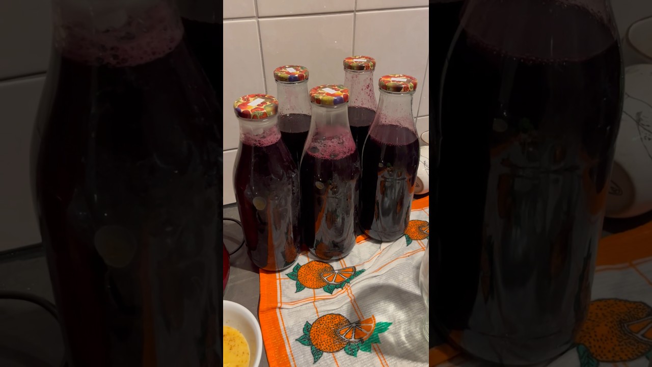 🍇ZELF DRUIVENSAP MAKEN🍇