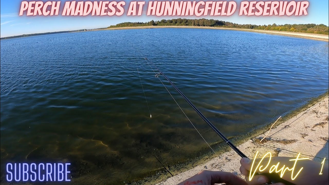 Perch madness at Hanningfield reservoir part 1