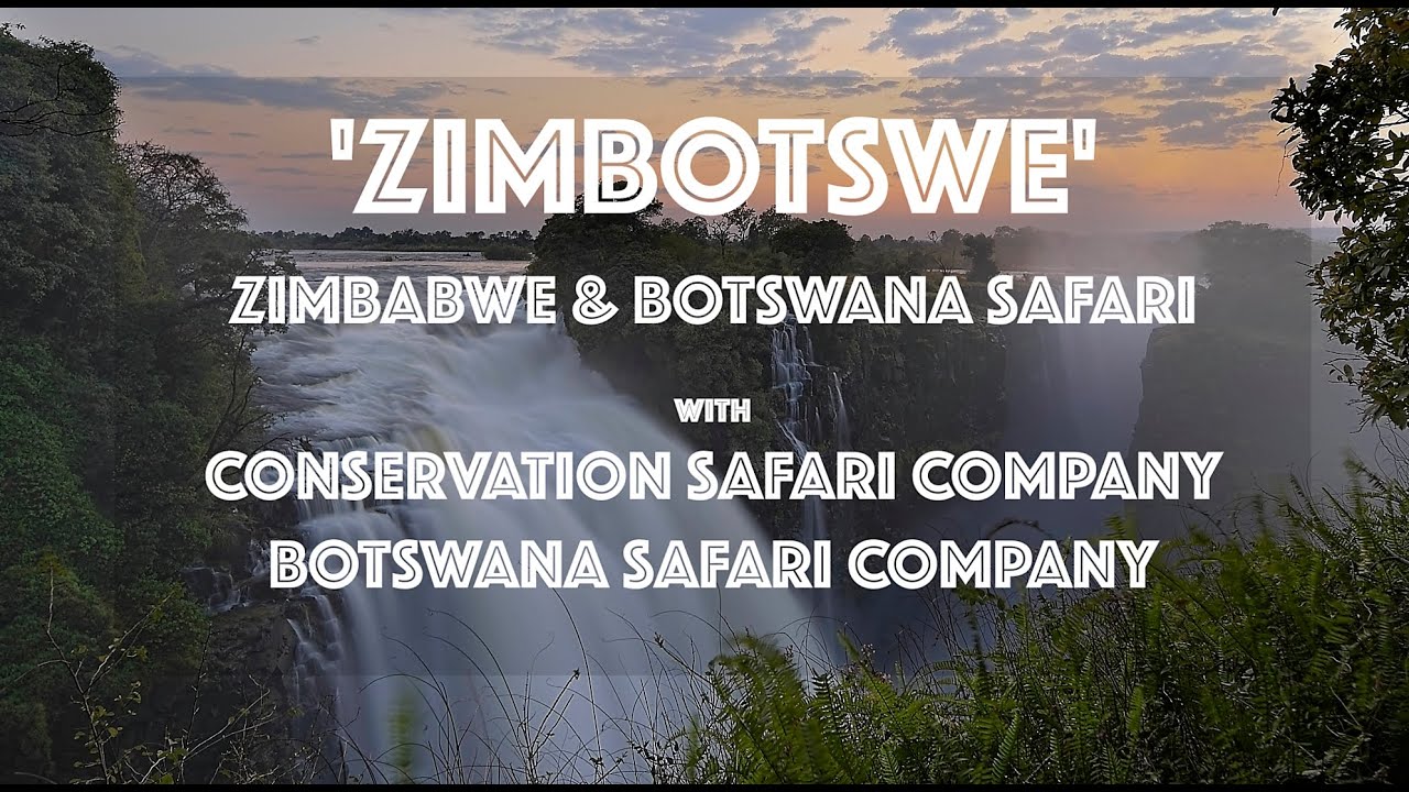 ZIMBOTSWE Safari 4K