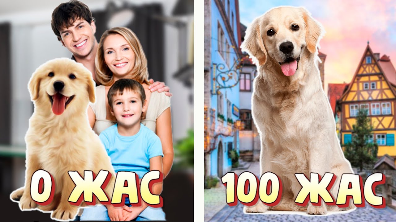 Ит болып 100 жыл өмір сүрдім