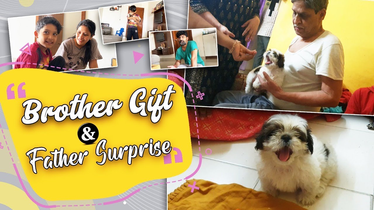 A Brother GIFT & Father Surprise | Amazon Box Makeover | Happy Puppy HOME | Vlog|Sushma Kiron