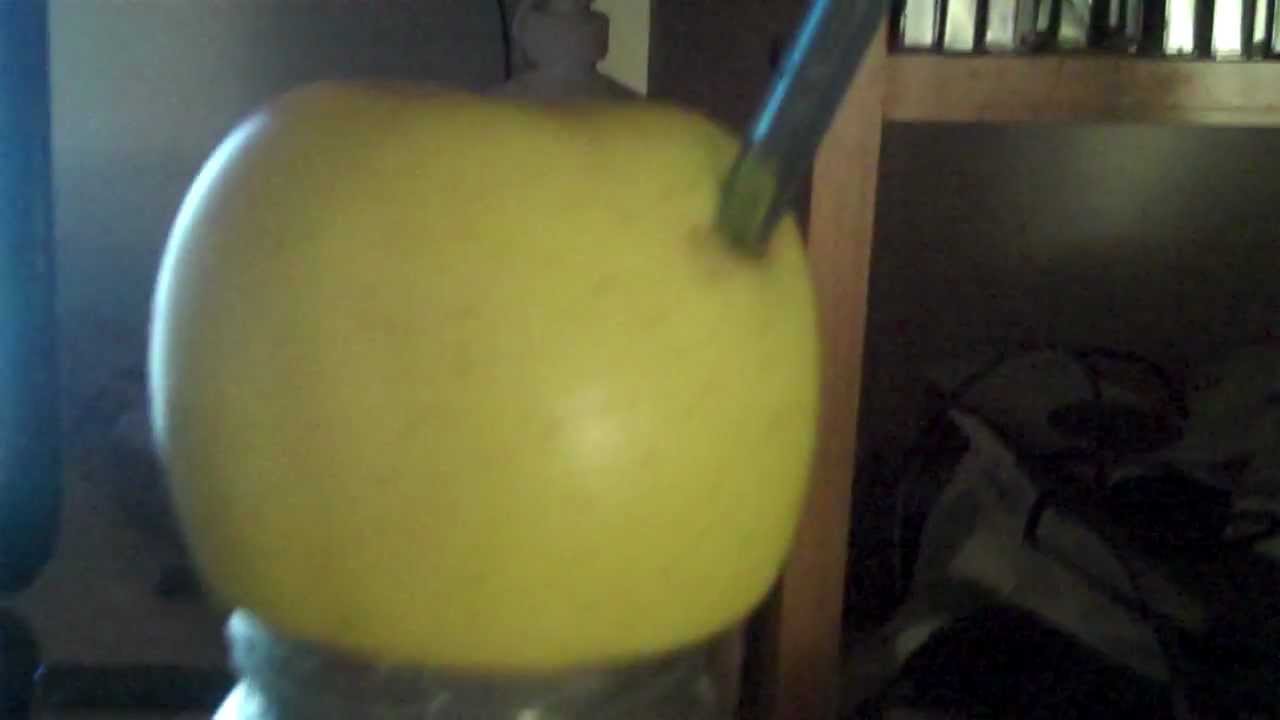 The Real Apple Bong