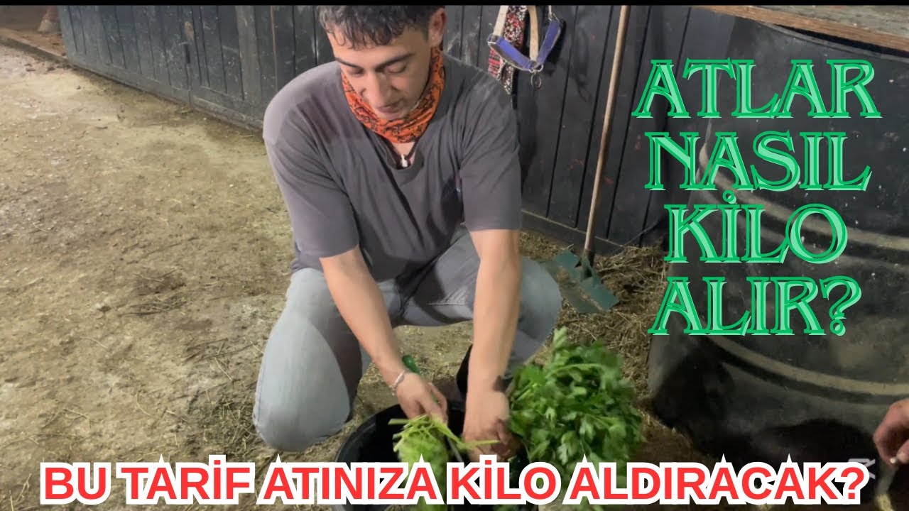 ATLAR NASIL KİLO ALIR ? ~  Müthiş Tarif