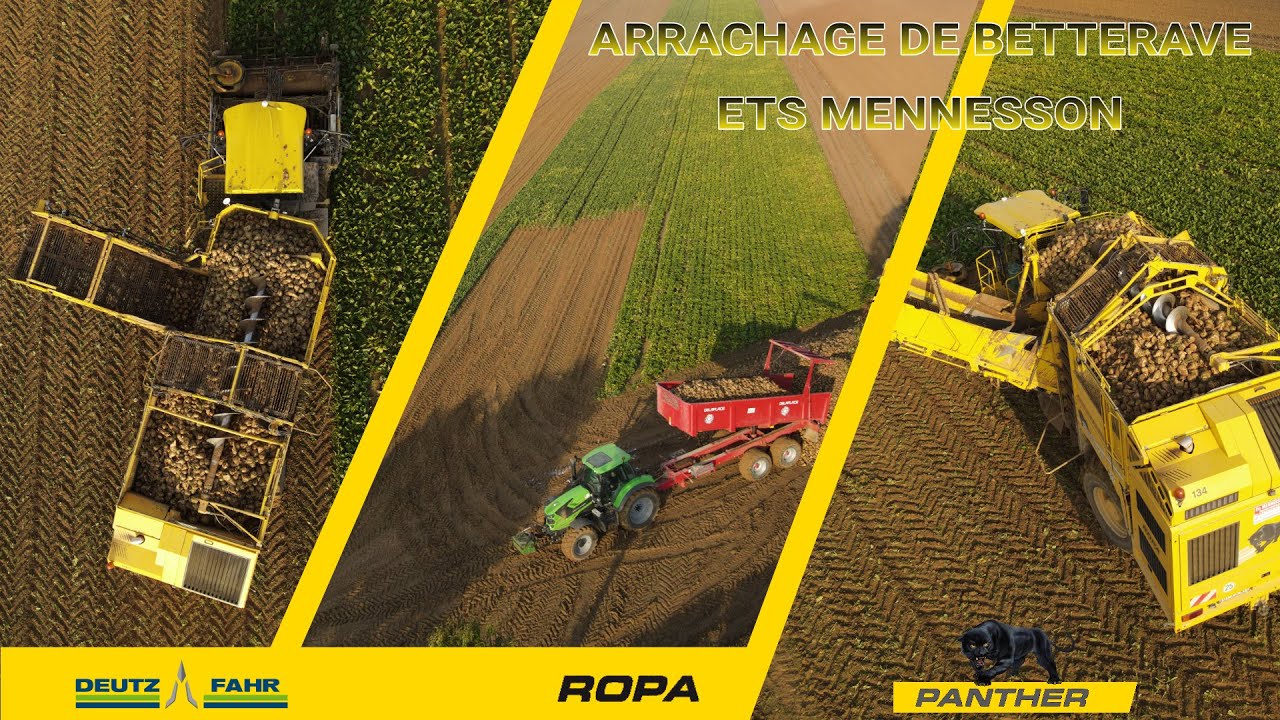 Ropa Panther Arrachage de betterave Ets Mennesson