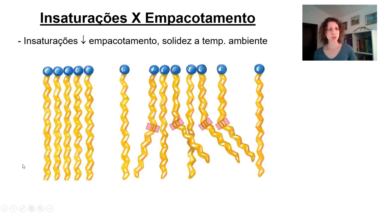 Estrutura e Função de Lipídeos