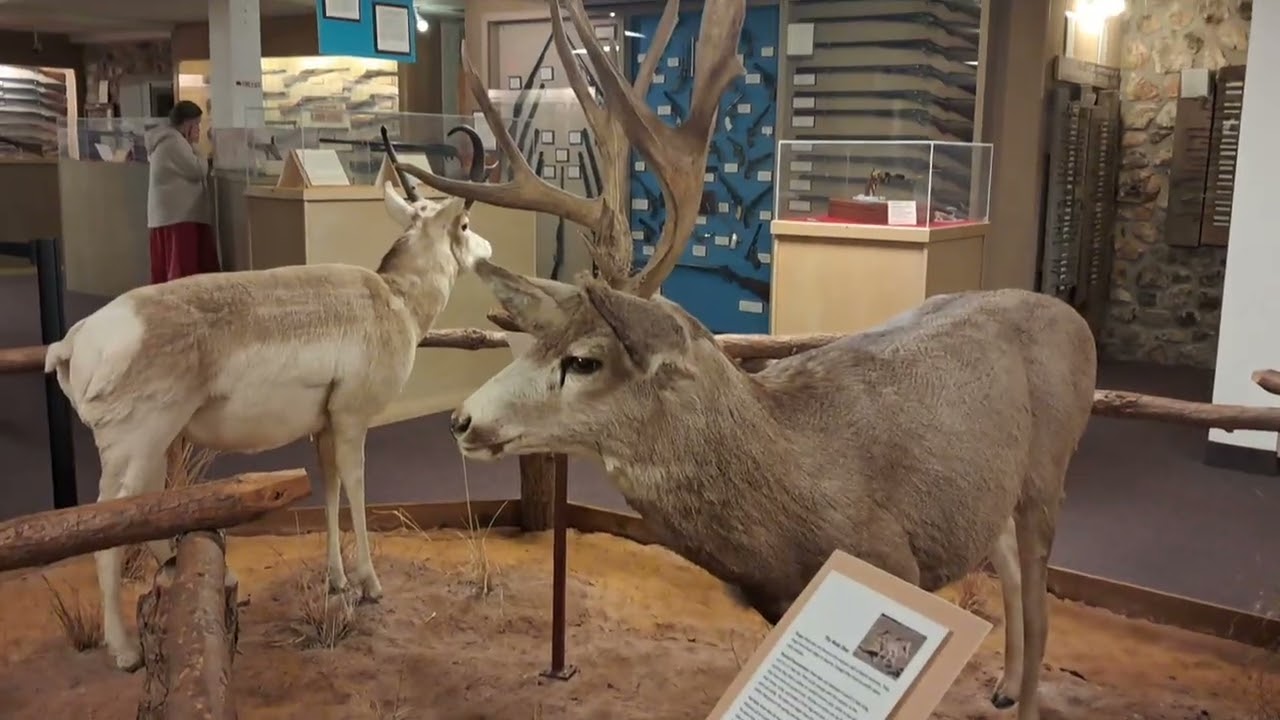Ralph Foster Museum | College of Ozarks, Missouri USA 🇺🇸 😎 
