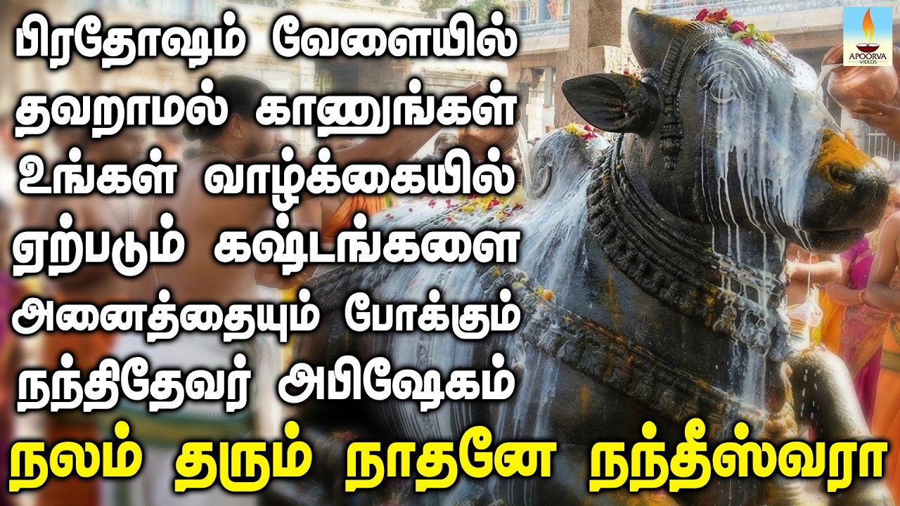 பிரதோஷம் வேளையில் தவறாமல் காணுங்கள் கஷ்டங்களை போக்கும் நந்திதேவர் அபிஷேகம் | Apoorva Videos