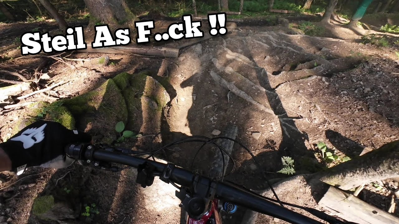 Hier komm ich an meine Grenzen! / Mit dem E- Bike im Bikepark ?