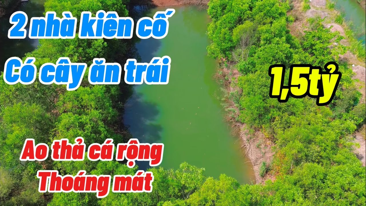 2 nhà cấp 4 kiên cố bám nhựa 32m có ao sau đất ! Cách DT759 chỉ 2km! #tranmanhbds 