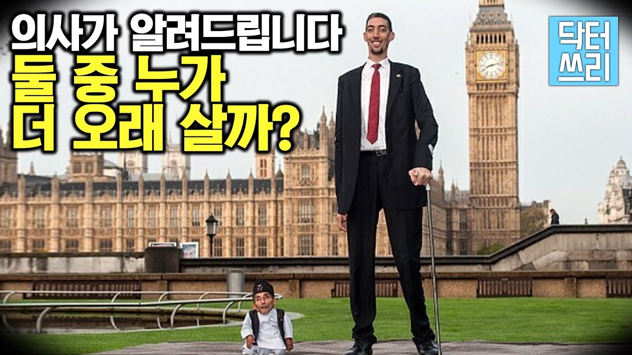 키 작은 사람이 오래 사나? - 키가 큰게 좋을까? (키와 수명의 관계)