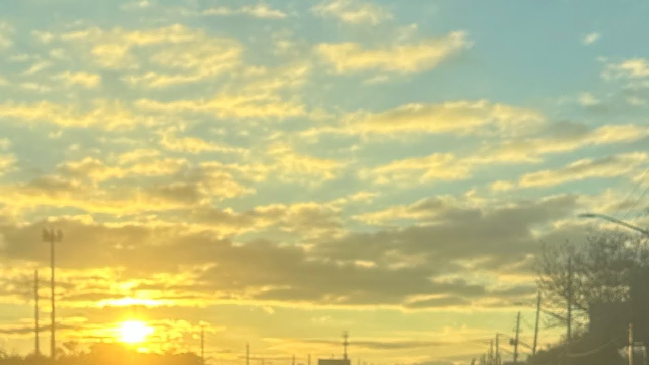 Kingdom hearts 2 Level 1 crit marluxia aka hitless 