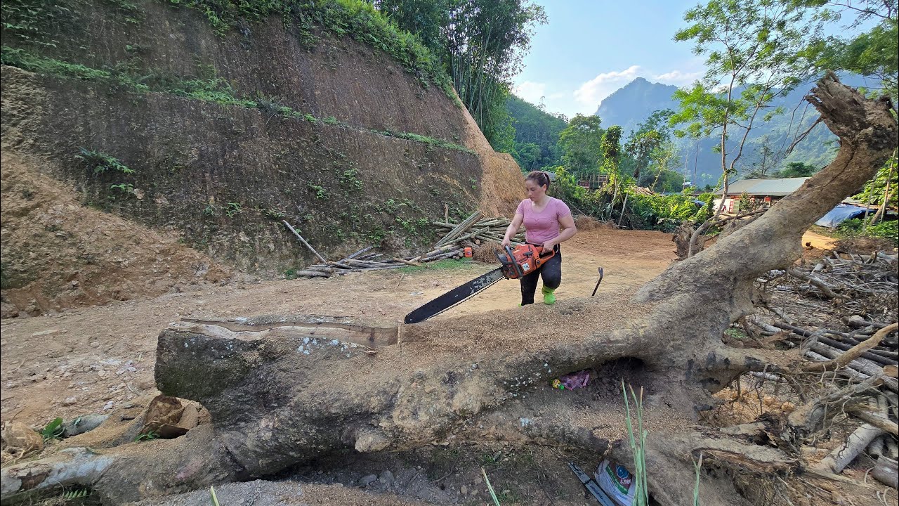 Girl saws giant logs, Transports them to build a lakeside house, Builds a wooden house