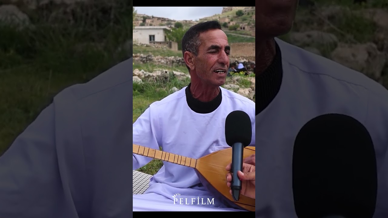 XELO ŞINGAL&Icirc; - GUND&Ecirc; K&Icirc;WEX / HEZEX
