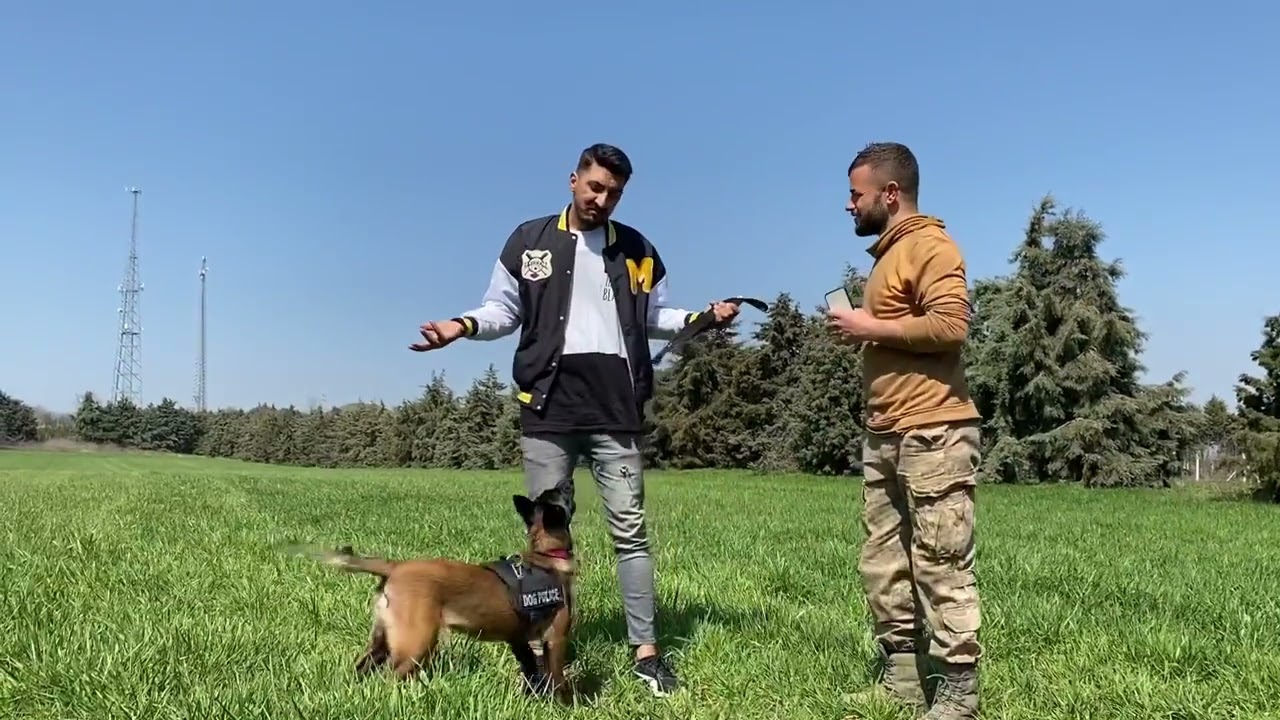 Tarkan Kalaycıoğlu ile kahkaha tufanı bir köpek eğitimi 😁