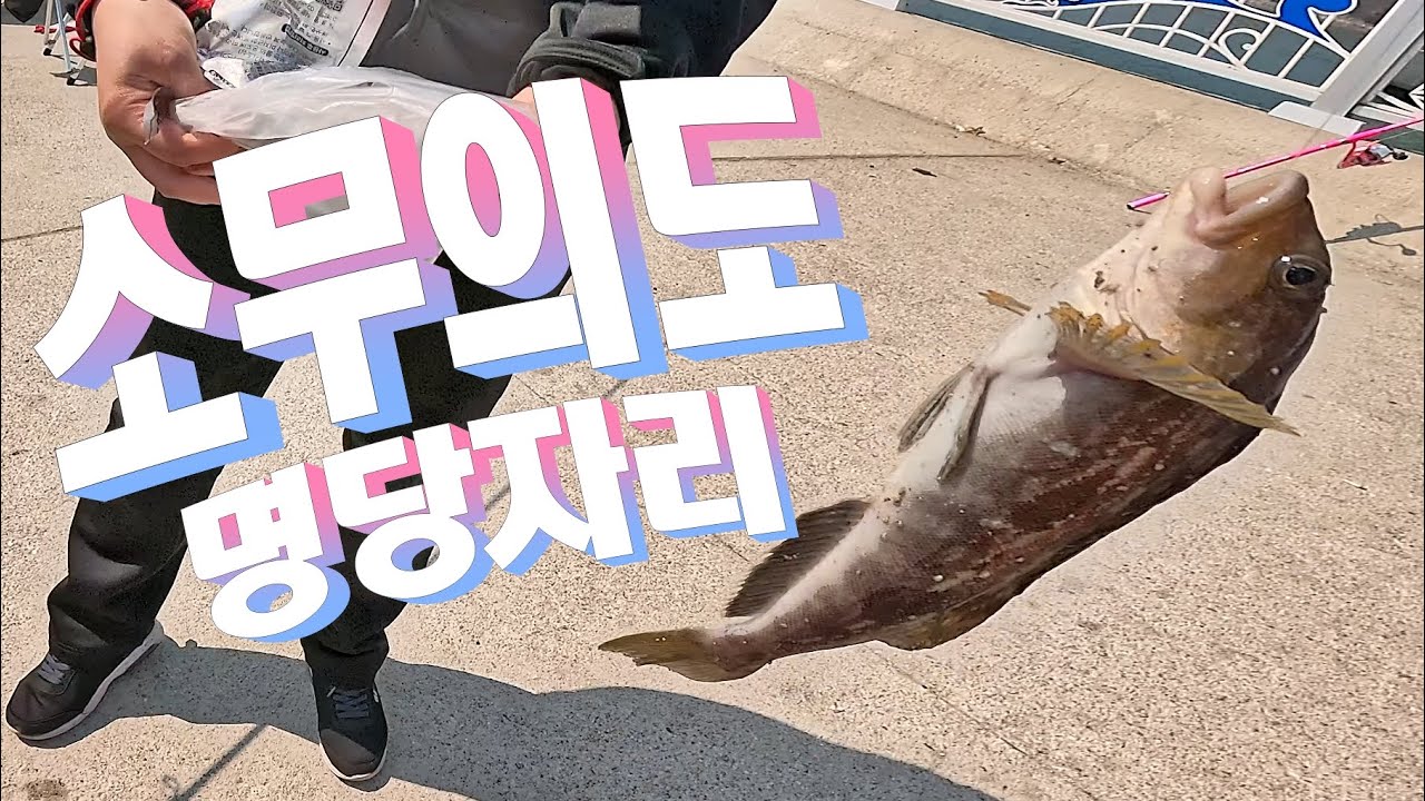 인천을 대표하는 소무의도 원투낚시 포인트 완전공개