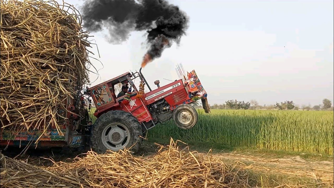 Massey Ferguson Powerful Stunts 🔥 || Mf 375 Tractor Pulling Trolley || Great Tractor Performance 